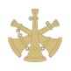 5b - Assistant Chief